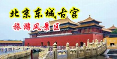 日批搞基自慰喷水在线中国北京-东城古宫旅游风景区
